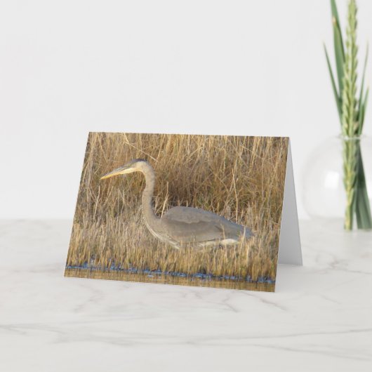 B19 Juvenile Blue Heron Kaart (Voorkant)