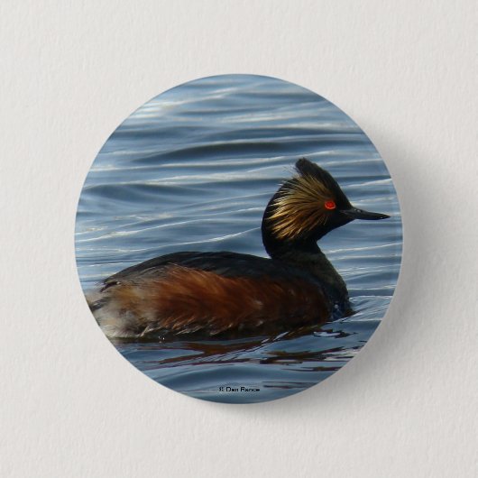 B1 Geoorde Fuut Ronde Button 5,7 Cm (Voorkant)