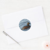 B1 Geoorde Fuut Ronde Sticker (Envelop)