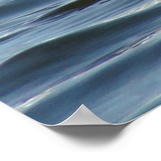 B1 Geproeide Grebe Poster (Hoek)