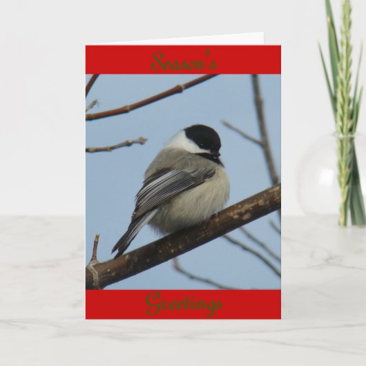 B21 Zwarte cichorei Feestdagen Kaart (Voorkant)