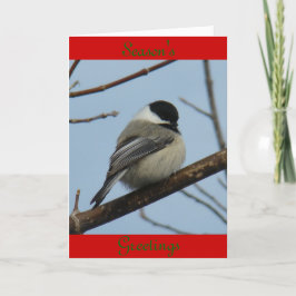 B21 Zwarte cichorei Feestdagen Kaart