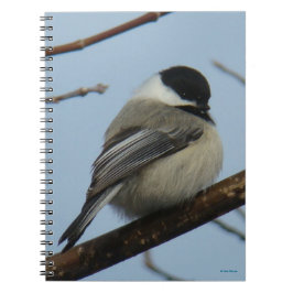 B21 Zwarte cichorei Notitieboek