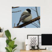 B21 Zwarte cichorei Poster (Thuiskantoor)