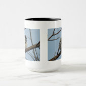 B21 Zwarte Mees Mok (Midden)