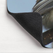 B21 Zwarte Mees Muismat (Hoek)