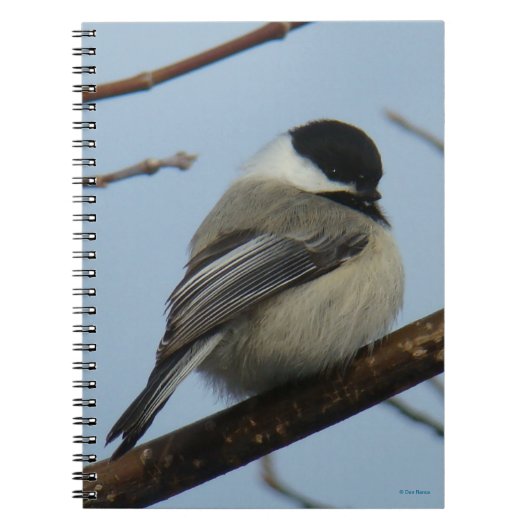 B21 Zwarte Mees Notitieboek (Voorkant)