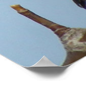 B21 Zwarte Mees Poster (Hoek)