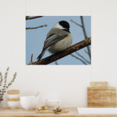 B21 Zwarte Mees Poster (Keuken)