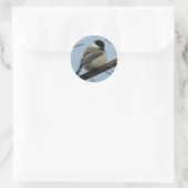 B21 Zwarte Mees Ronde Sticker (Tas)