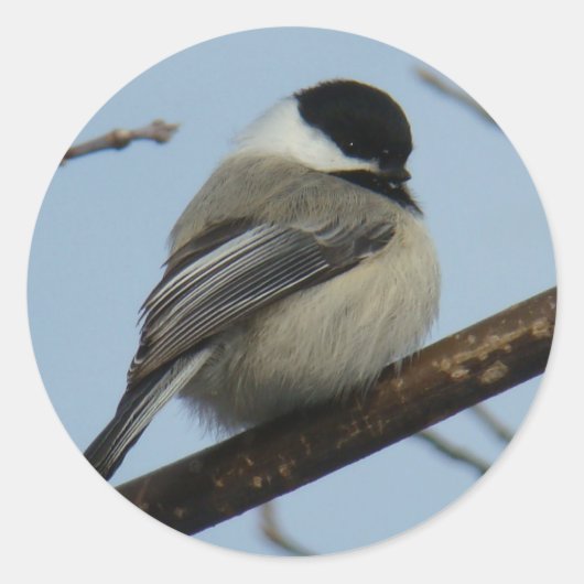 B21 Zwarte Mees Ronde Sticker (Voorkant)