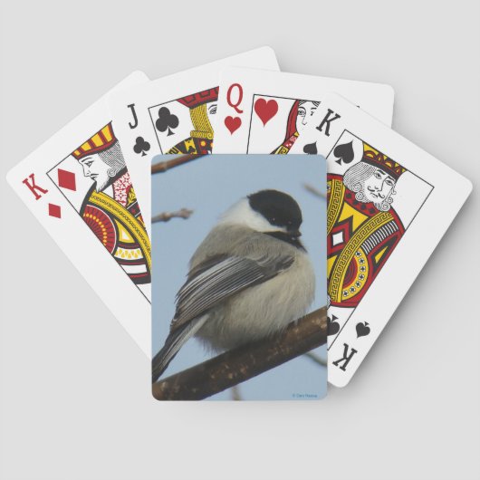 B21 Zwartkapmees Pokerkaarten (Achterkant)