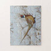 B22 Halsbandfazant Legpuzzel (Verticaal)