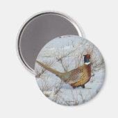 B22 Halsbandfazant Magneet (Voorkant / Achterkant)