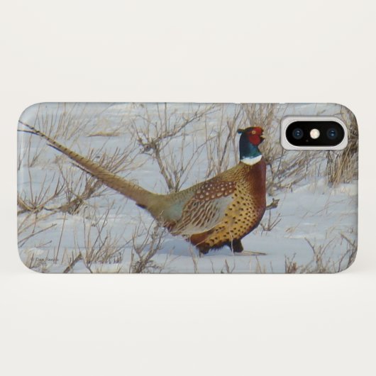 B22 Ring-necked fazant in sneeuw Case-Mate iPhone Case (Achterkant (horizontaal))