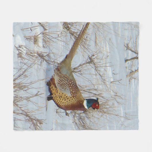 B22 Ring-necked fazant in sneeuw Fleece Deken (Voorkant (Horizontaal))
