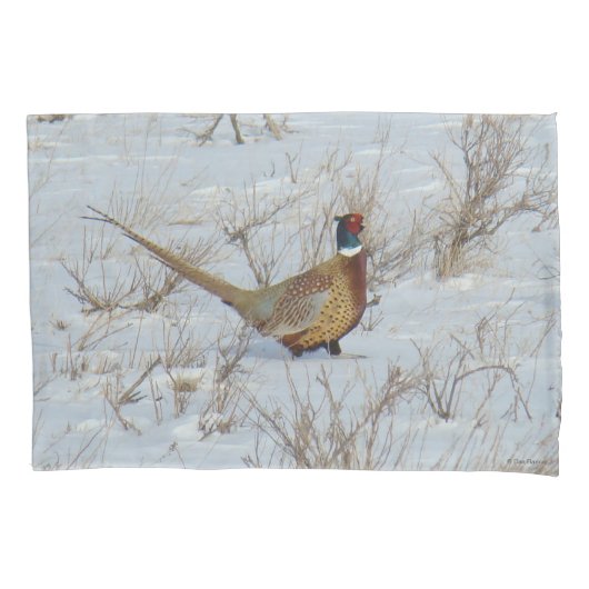 B22 Ring-necked fazant in sneeuw Kussensloop (Voorkant)