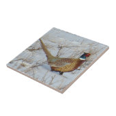 B22 Ring-necked fazant in sneeuw Tegeltje (Zijkant)