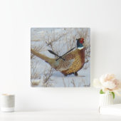 B22 Ring-necked fazant in sneeuw Vierkante Klok (Huis)