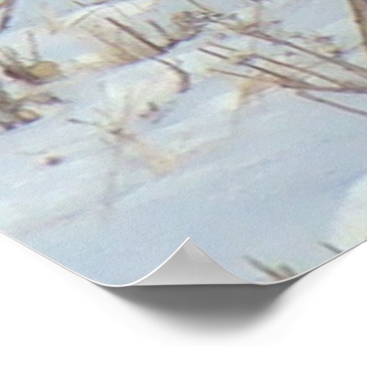 B22 Ring-Necked fazant Poster (Hoek)