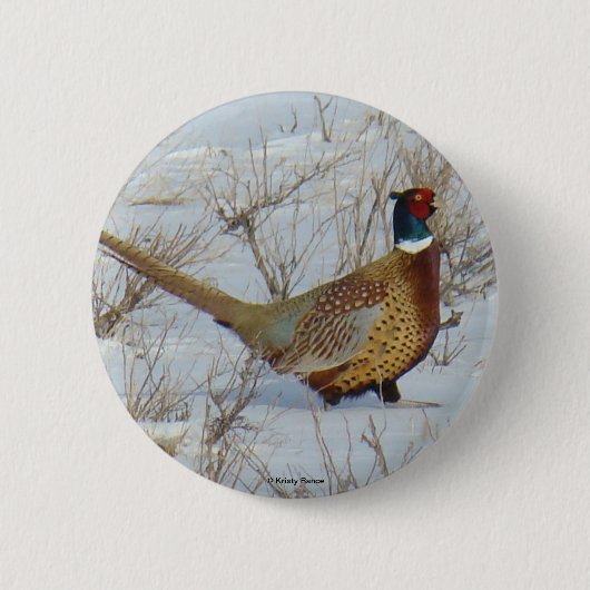 B22 Ring-necked Fazant Ronde Button 5,7 Cm (Voorkant)