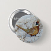 B22 Ring-necked Fazant Ronde Button 5,7 Cm (Voorkant /achterkant)