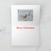 B22 Ring-Necked Pheasant in Snow Christmas Card Feestdagen Kaart (Binnen)