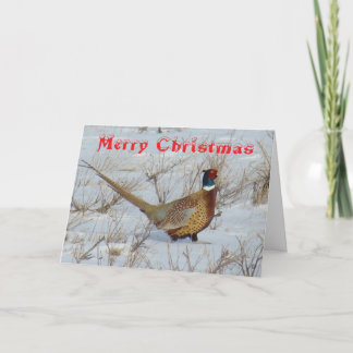 B22 Ring-Necked Pheasant in Snow Christmas Card Feestdagen Kaart