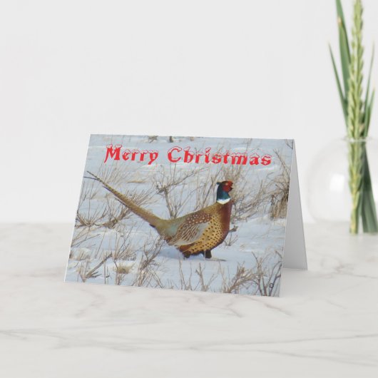 B22 Ring-Necked Pheasant in Snow Christmas Card Feestdagen Kaart (Voorkant)