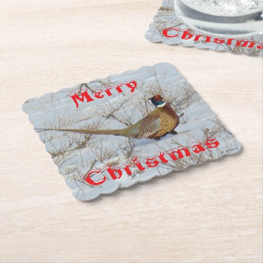 B22 Ring-Necked-Pheasant in Snow Coaster Kartonnen Onderzetters (Gebogen)