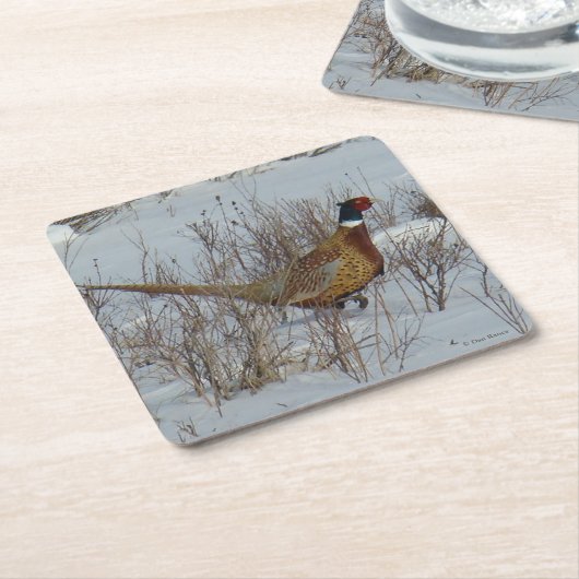 B23 Ring-hals Kartonnen Onderzetters (Schuin)