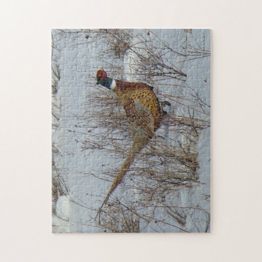 B23 Ring-hals Legpuzzel (Verticaal)