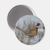 B23 Ring-hals Magneet (Voorkant / Achterkant)