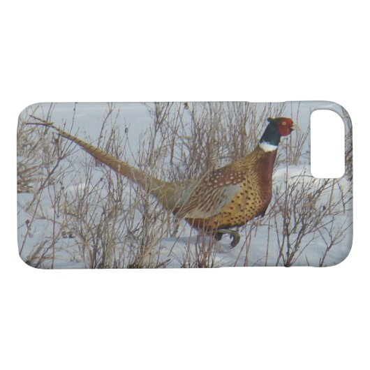 B23 Ring-necked fazant in sneeuw Case-Mate iPhone Case (Achterkant (Horizontaal))