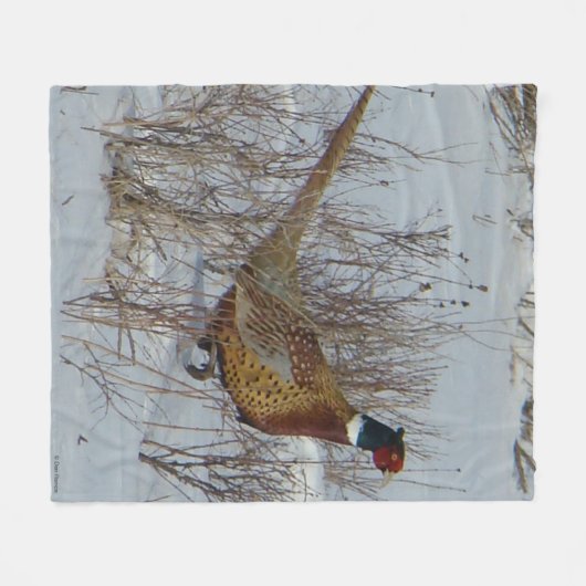 B23 Ring-necked fazant in sneeuw Fleece Deken (Voorkant (Horizontaal))