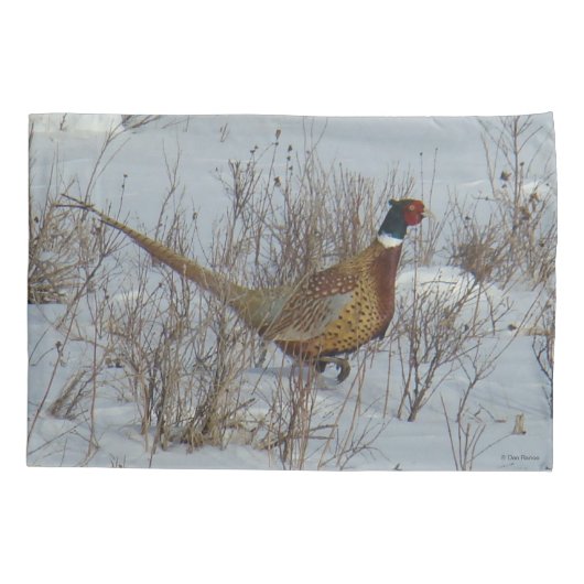 B23 Ring-necked fazant in sneeuw Kussensloop (Achterkant)