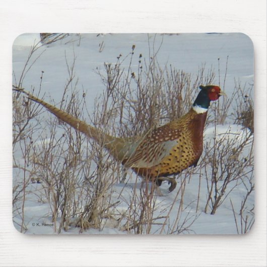 B23 Ring-necked fazant in sneeuw Muismat (Voorkant)