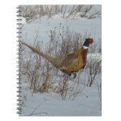 B23 Ring-necked fazant in sneeuw Notitieboek (Voorkant)