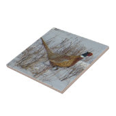 B23 Ring-necked fazant in sneeuw Tegeltje (Zijkant)