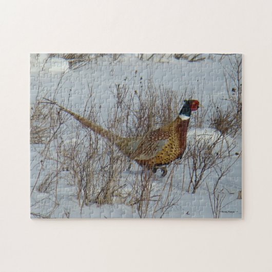 B23 Ring-necked Fazant Legpuzzel (Horizontaal)