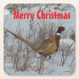 B23 Ring Necked Pheasant in Snow Coaster Kartonnen Onderzetters