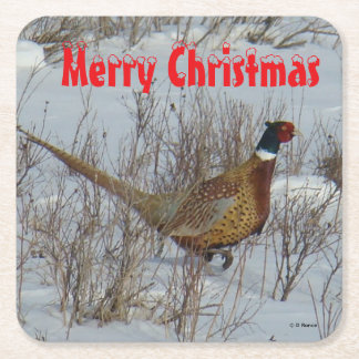 B23 Ring Necked Pheasant in Snow Coaster Kartonnen Onderzetters