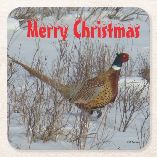 B23 Ring Necked Pheasant in Snow Coaster Kartonnen Onderzetters (Voorkant)