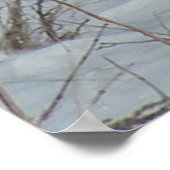 B23 Ring-Necked Pheasant Poster (Hoek)