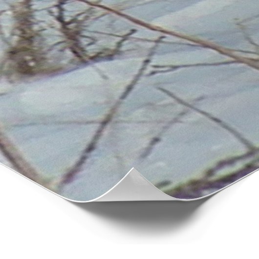 B23 Ring-Necked Pheasant Poster (Hoek)