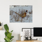B23 Ring-Necked Pheasant Poster (Thuiskantoor)