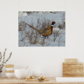 B23 Ring-Necked Pheasant Poster (Keuken)