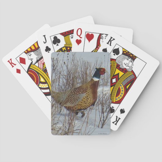 B23 Ringhalsfazant in de Sneeuw Pokerkaarten (Achterkant)