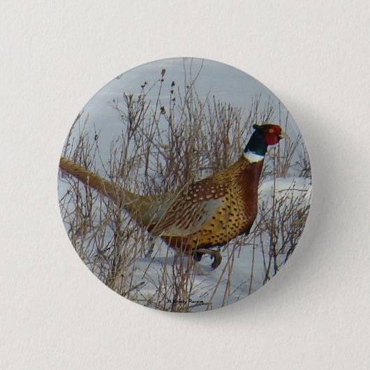 B23 Ringhalsfazant . Ronde Button 5,7 Cm (Voorkant)