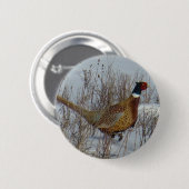 B23 Ringhalsfazant . Ronde Button 5,7 Cm (Voorkant /achterkant)